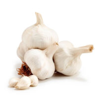 garlic